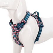 Arnés Confort & Colors Floral Print