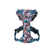 Arnés Confort & Colors Floral Print