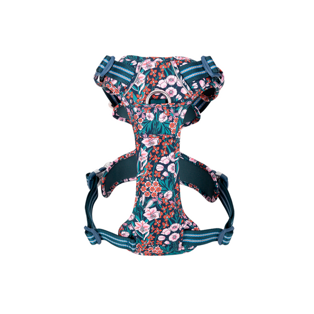 Arnés Confort & Colors Floral Print