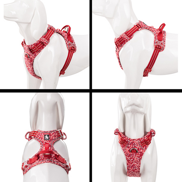 Arnés Confort & Colors Floral Print