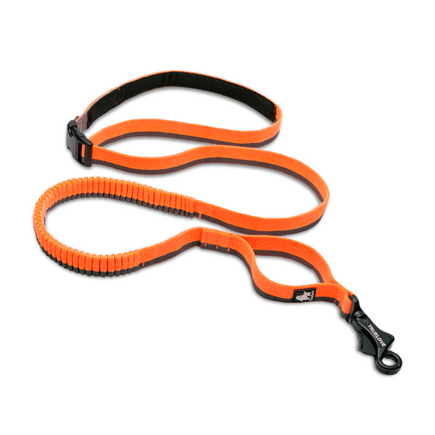 Correa Bungee Hands Free