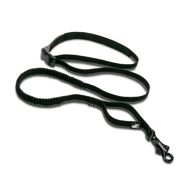 Correa Bungee Hands Free