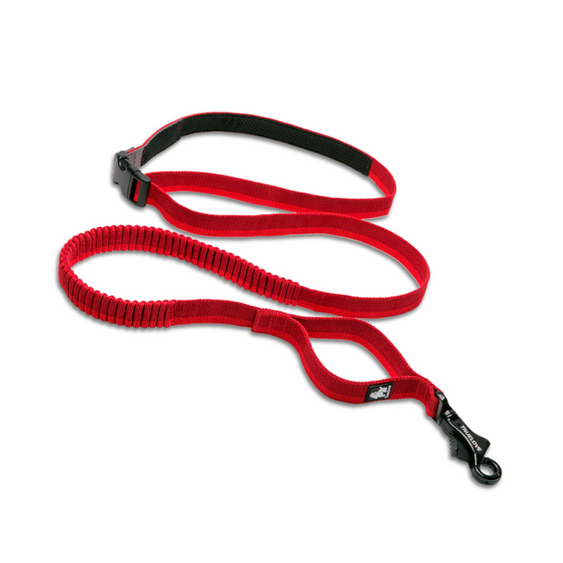 Correa Bungee Hands Free